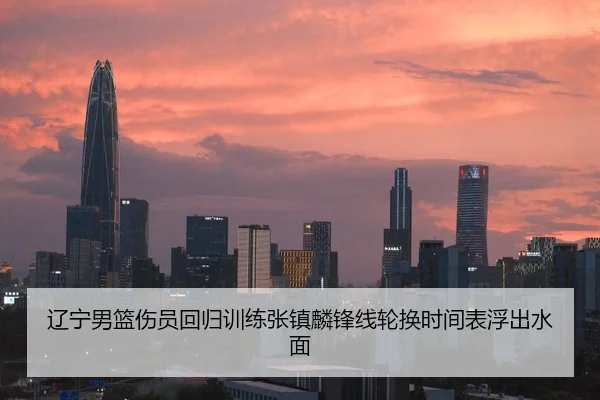 辽宁男篮伤员回归训练张镇麟锋线轮换时间表浮出水面 - WANBOSPORTS